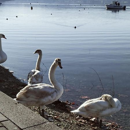 La Casetta Sul Lago Viverone Esterno foto